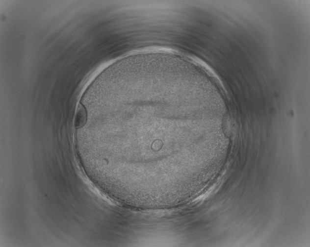 X0000067900860200605041616