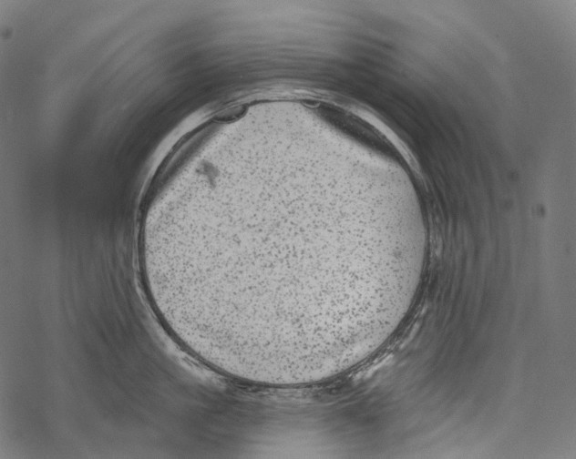 X0000067900861200605041616