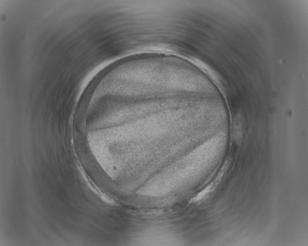 X0000067900862200605041616