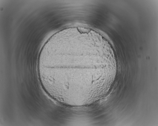 X0000067900863200605041616