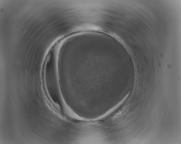 X0000067900864200605041616