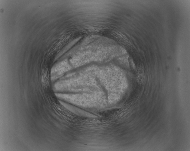 X0000067900866200605041615