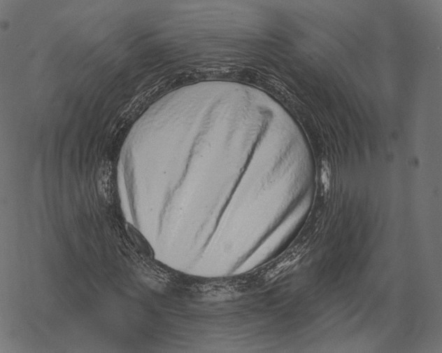 X0000067900867200605041615