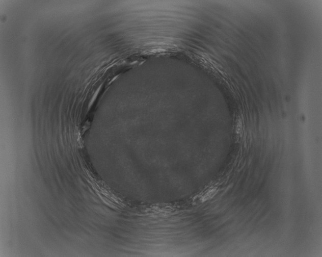 X0000067900868200605041615