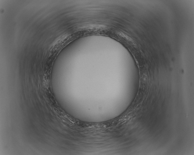 X0000067900869200605041615