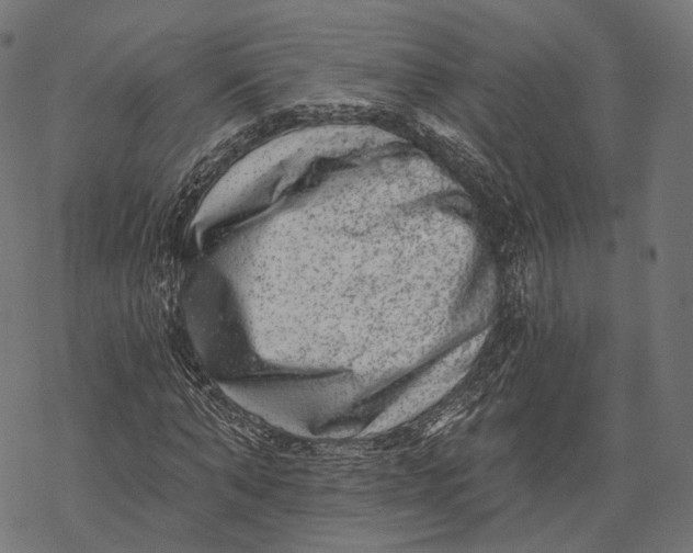 X0000067900870200605041615