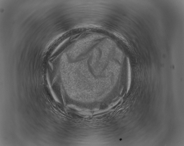 X0000067900872200605041615