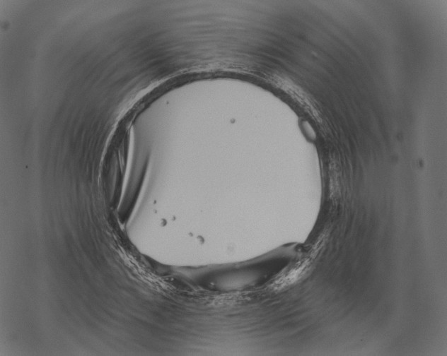 X0000067900876200605041615