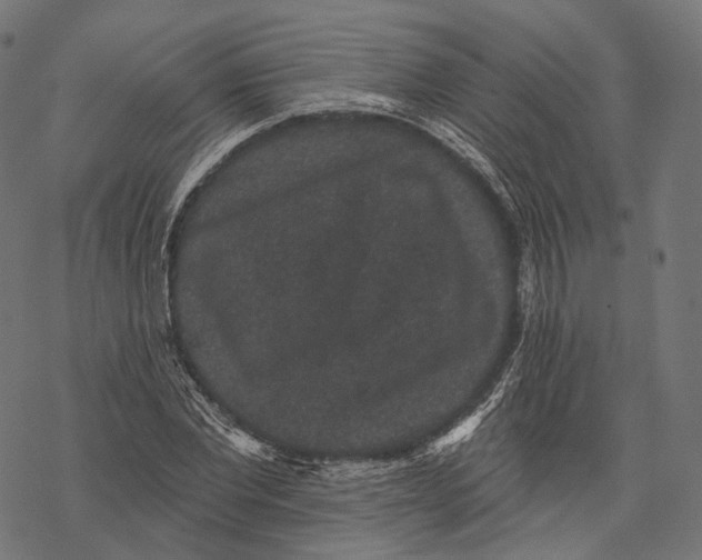 X0000067900877200605041615