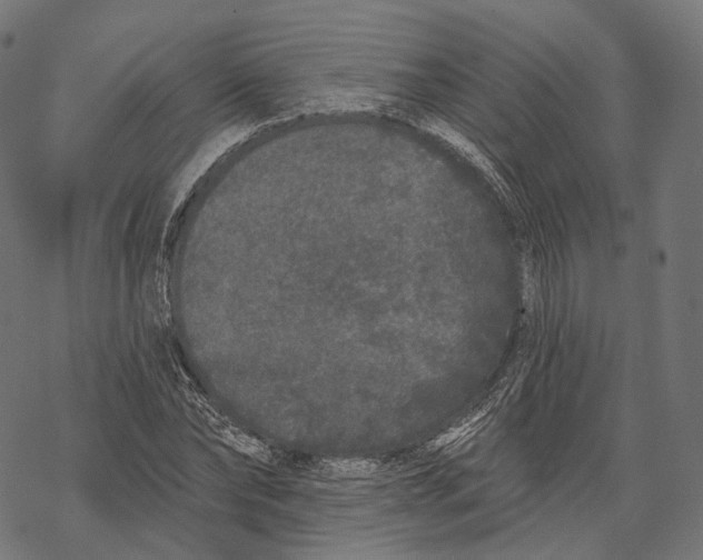 X0000067900878200605041615