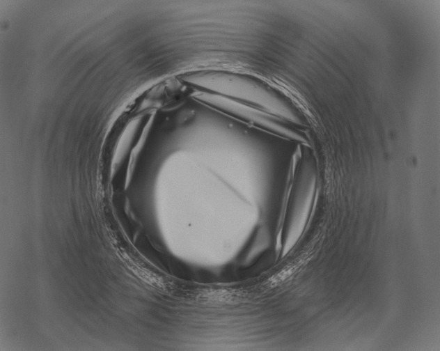 X0000067900880200605041615