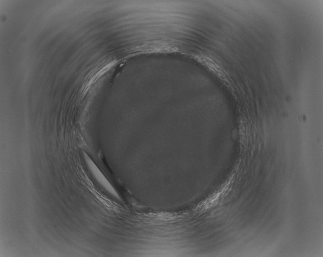 X0000067900881200605041615