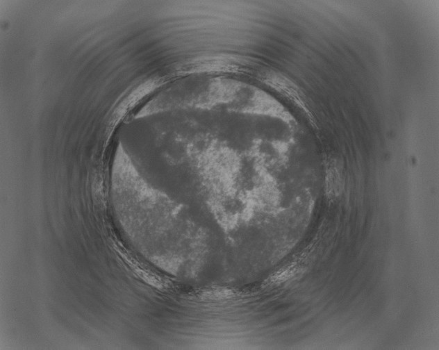 X0000067900882200605041615