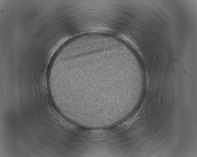 X0000067900883200605041615