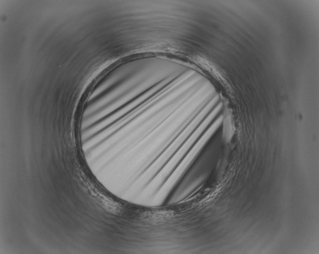 X0000067900884200605041615