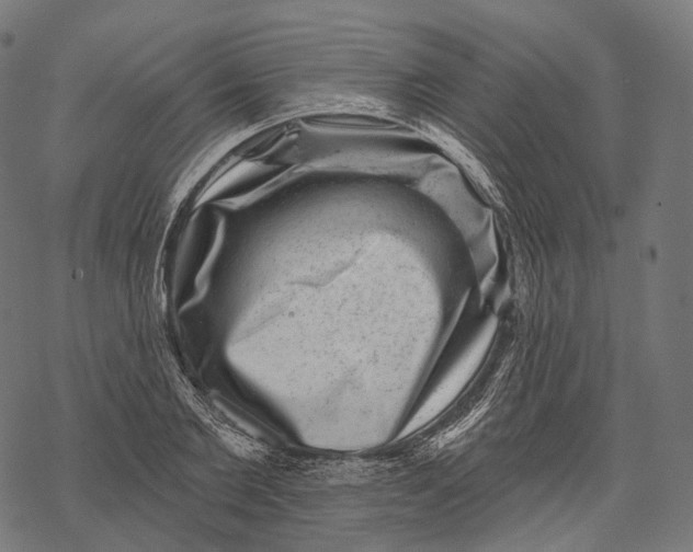 X0000067900885200605041615