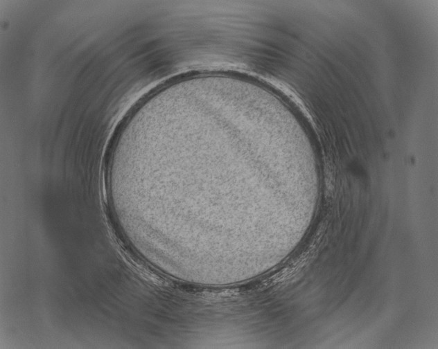 X0000067900887200605041615