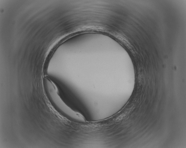 X0000067900888200605041615