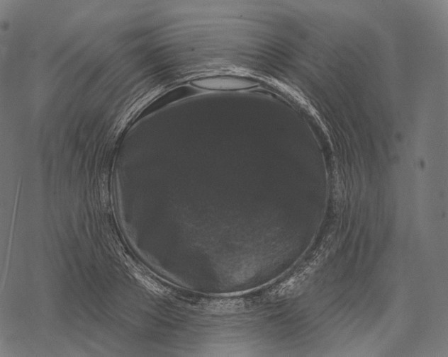 X0000067900889200605041615