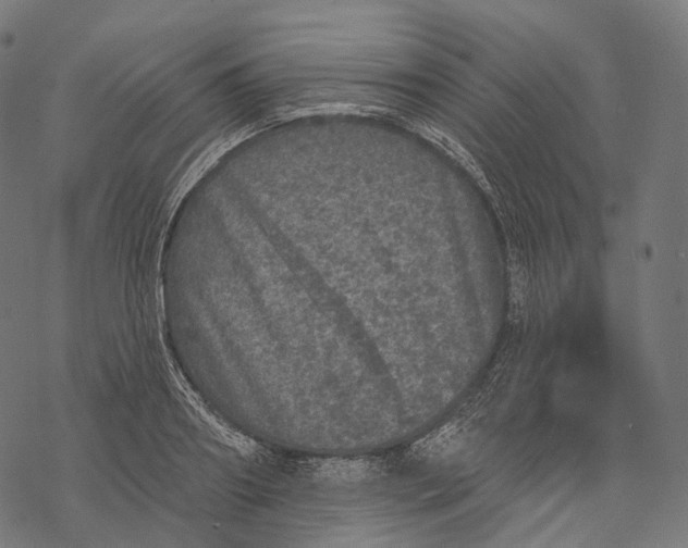 X0000067900890200605041615