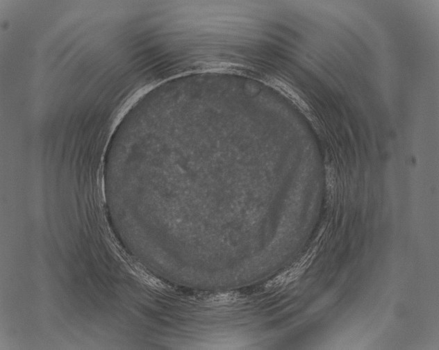 X0000067900891200605041615