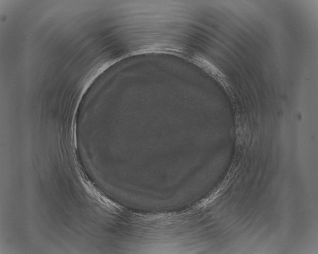 X0000067900892200605041615