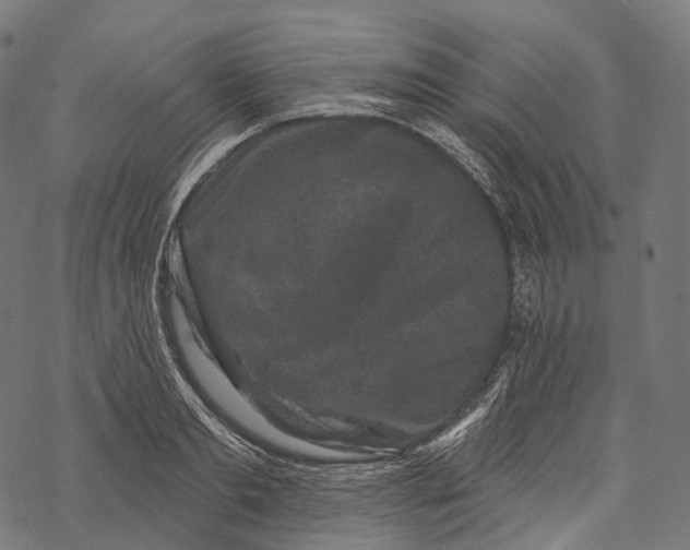 X0000067900893200605041615