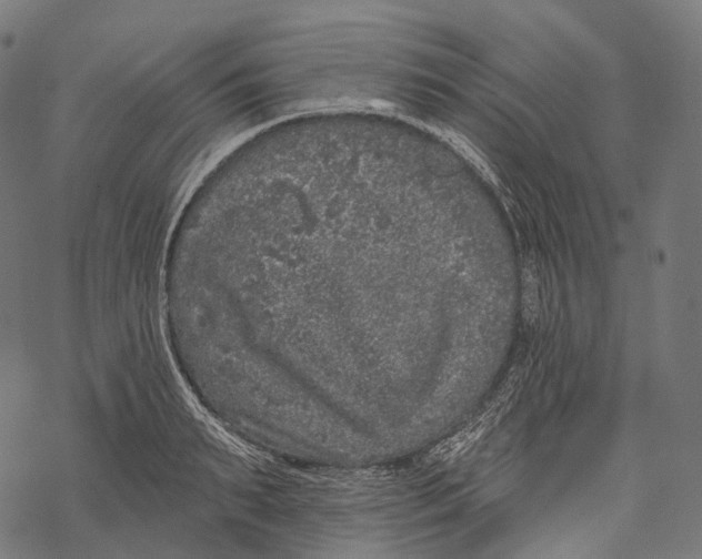 X0000067900895200605041615