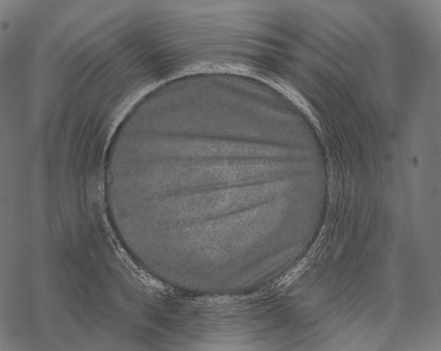 X0000067900896200605041615