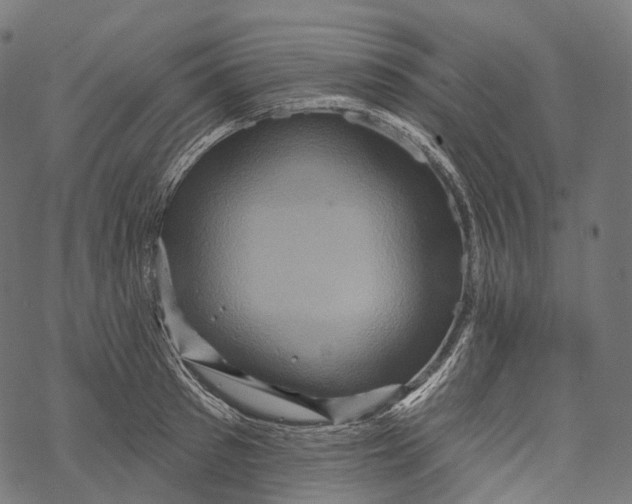 X0000067900897200605041615