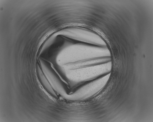 X0000067900898200605041615