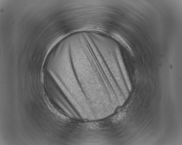 X0000067900900200605041615