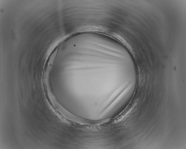 X0000067900901200605041615