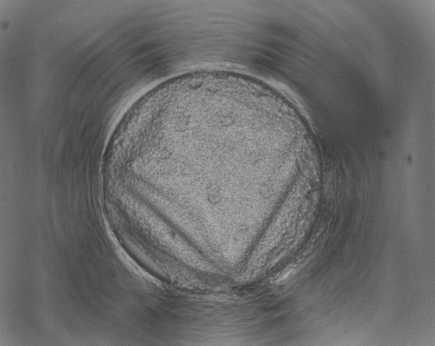 X0000067900903200605041615