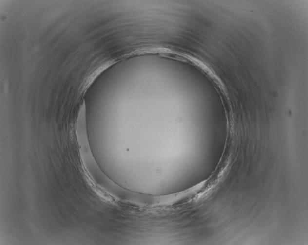 X0000067900905200605041615