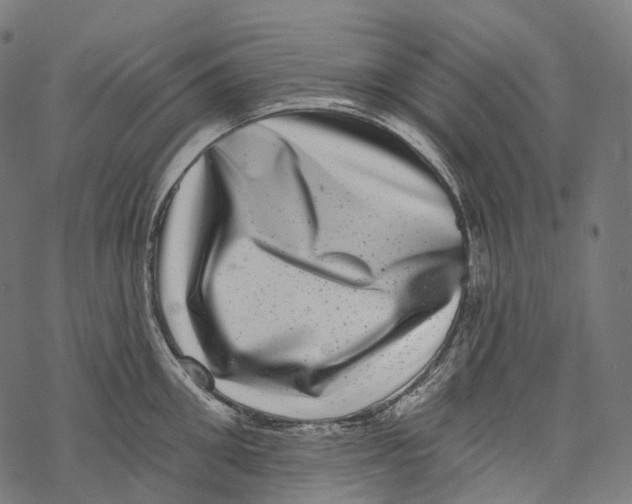 X0000067900906200605041614