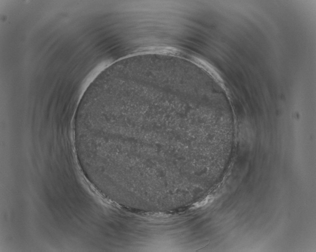 X0000067900907200605041614