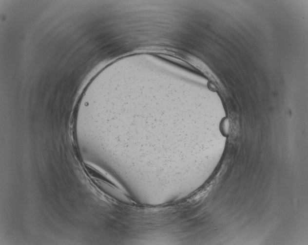 X0000067900908200605041614