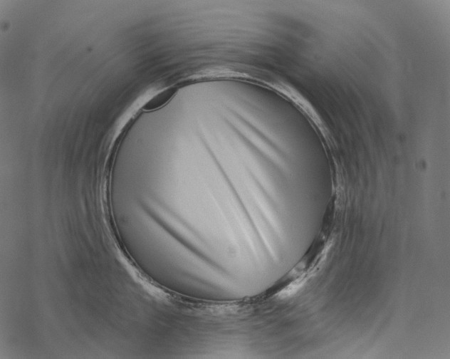 X0000067900909200605041614