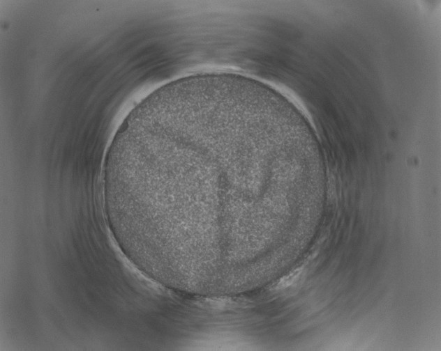 X0000067900911200605041614