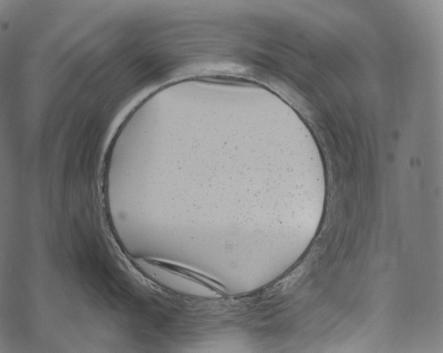 X0000067900912200605041614