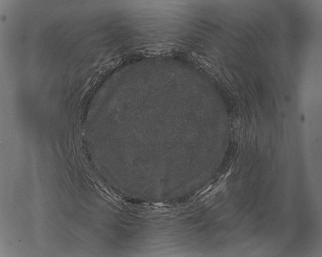 X0000067900913200605041614