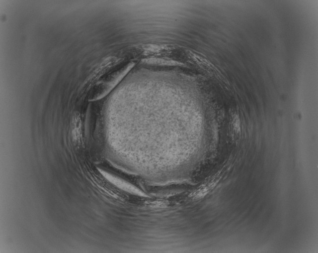 X0000067900914200605041614