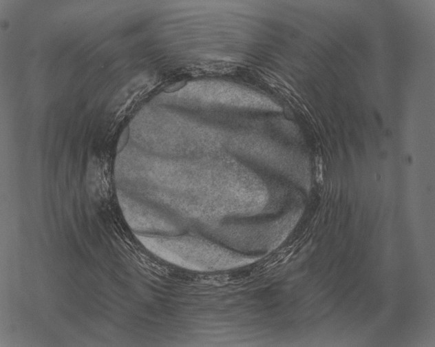 X0000067900915200605041614