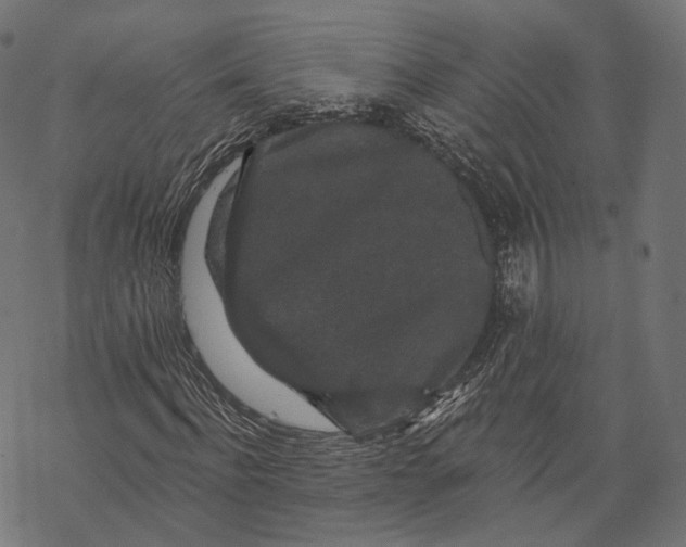 X0000067900916200605041614