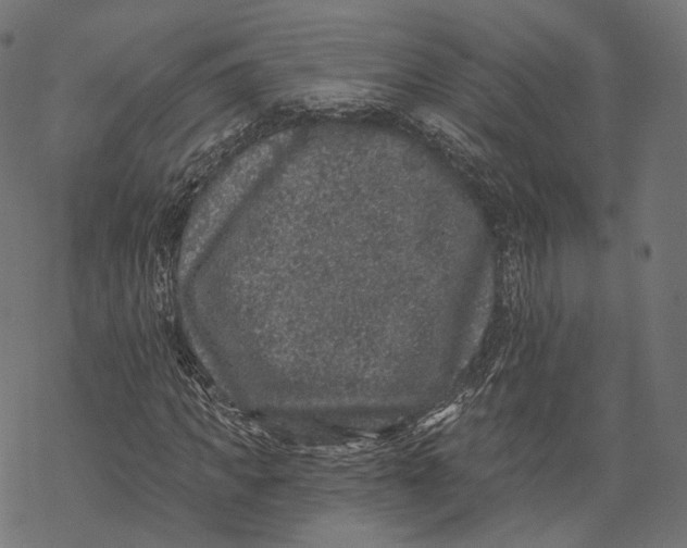 X0000067900917200605041614