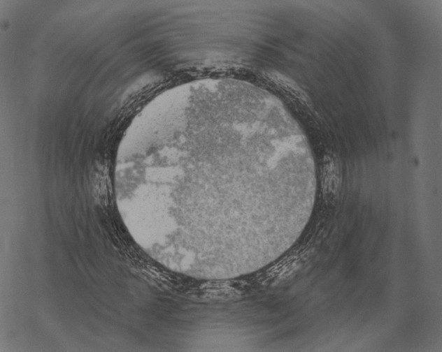 X0000067900918200605041614