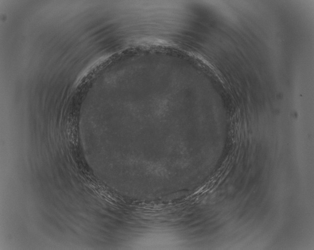 X0000067900919200605041614