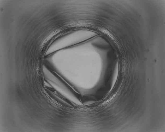 X0000067900922200605041614