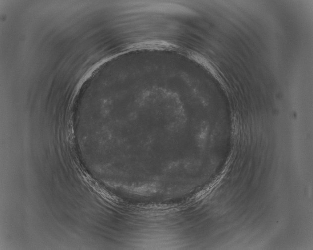 X0000067900923200605041614